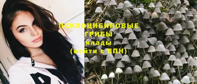 Галлюциногенные грибы GOLDEN TEACHER Кинешма